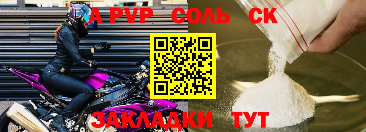 A-PVP СК Горно-Алтайск