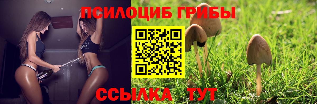 Горно-Алтайск  Галлюциногенные грибы Cubensis  Галлюциногенные грибы прущие грибы  Вход с VPN 